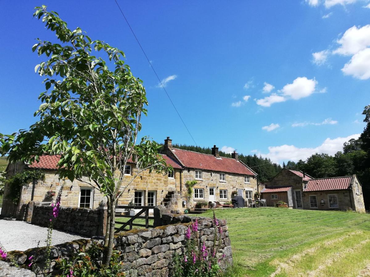 Bluebells Cottage Chop Gate Exteriér fotografie