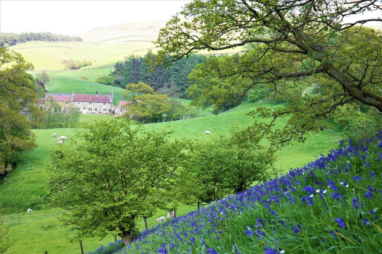 Bluebells Cottage Chop Gate Exteriér fotografie