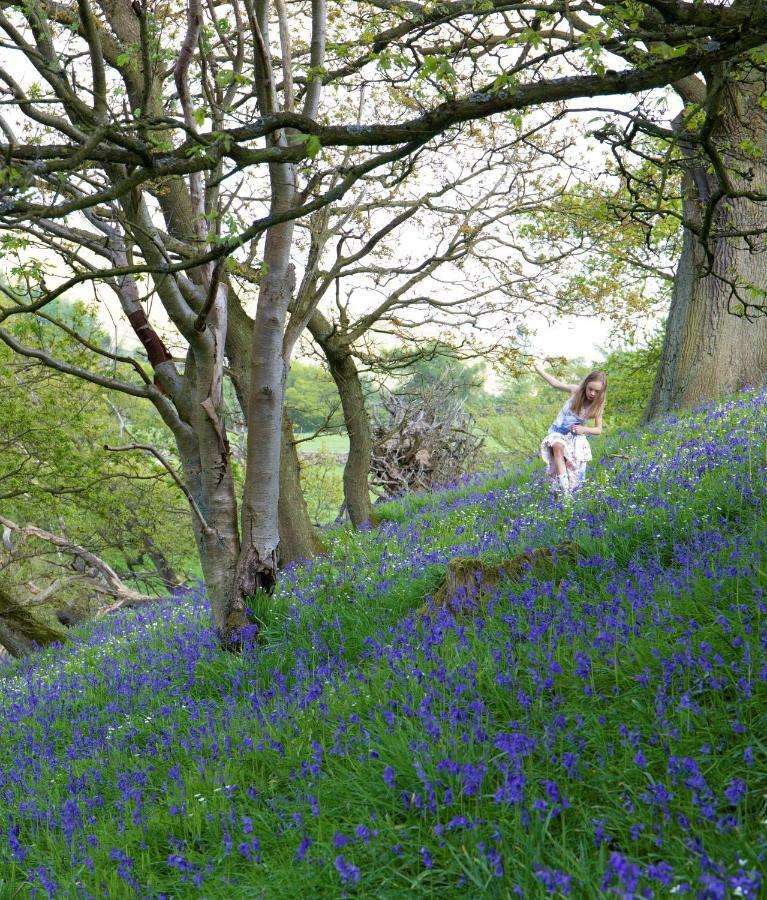 Bluebells Cottage Chop Gate Exteriér fotografie