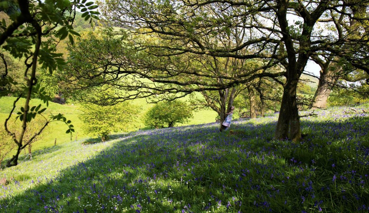 Bluebells Cottage Chop Gate Exteriér fotografie